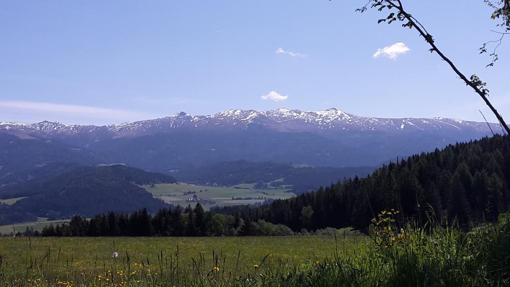 Neumarkt in SteiermarkBiohof Goelly别墅 外观 照片